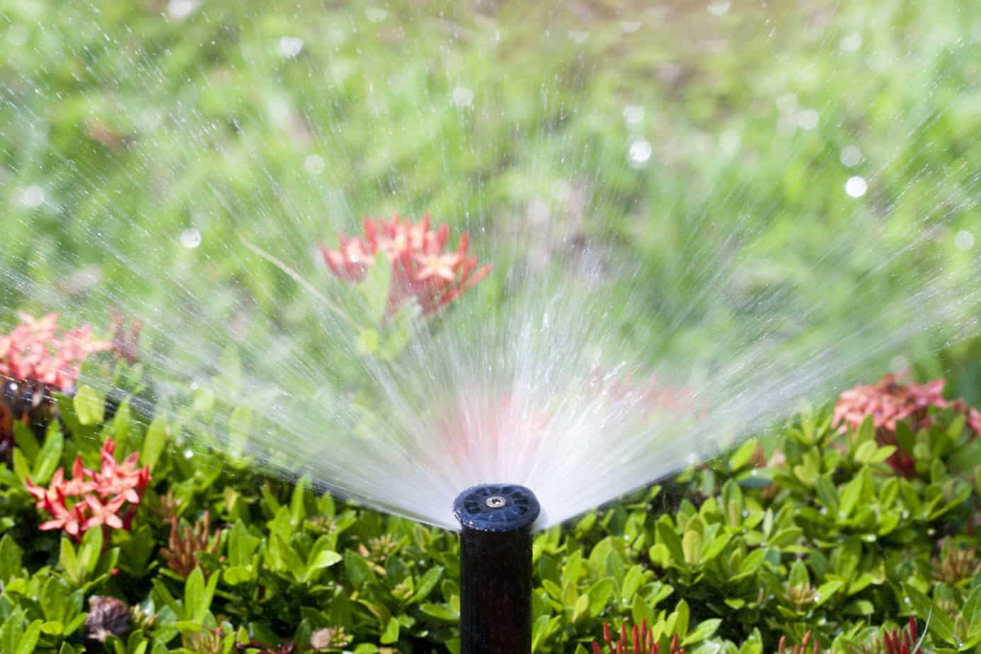 Irrigation System Installation Service FL 