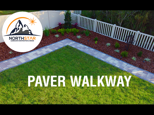 Professional Landscapers In Tampa Fl